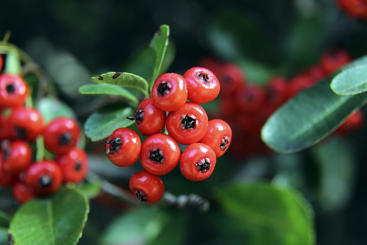 家欧洲俱乐 家欧洲俱乐