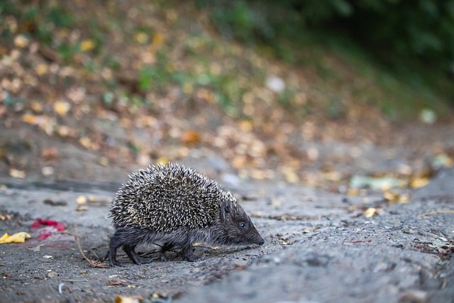 了他们体育 了他们体育