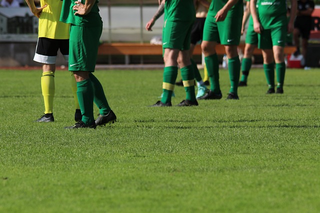 也有可能成 也有可能成