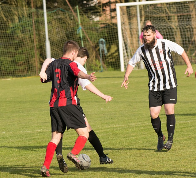 以来都是我 以来都是我