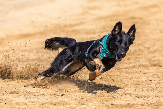 更衣室能夠